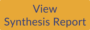 View Synthesis Report