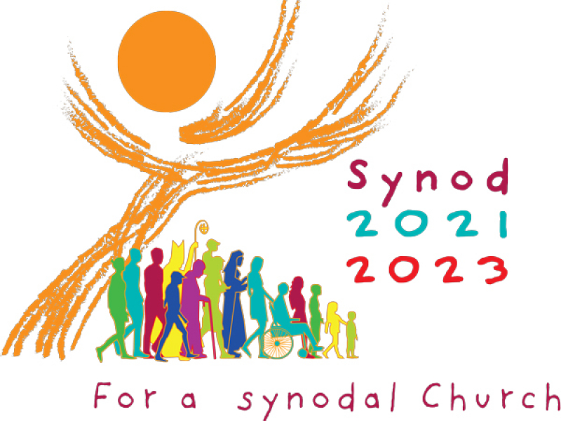 Synod Feedback for Individuals
